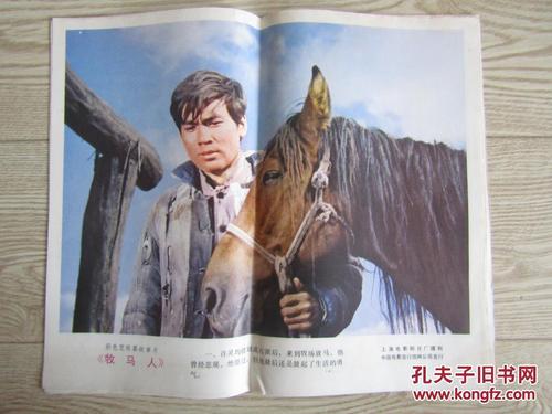 高仿特种设备操作证多少钱